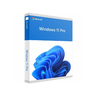 Microsoft Windows 11 Professional 64 bit Elektronická licence (ESD)